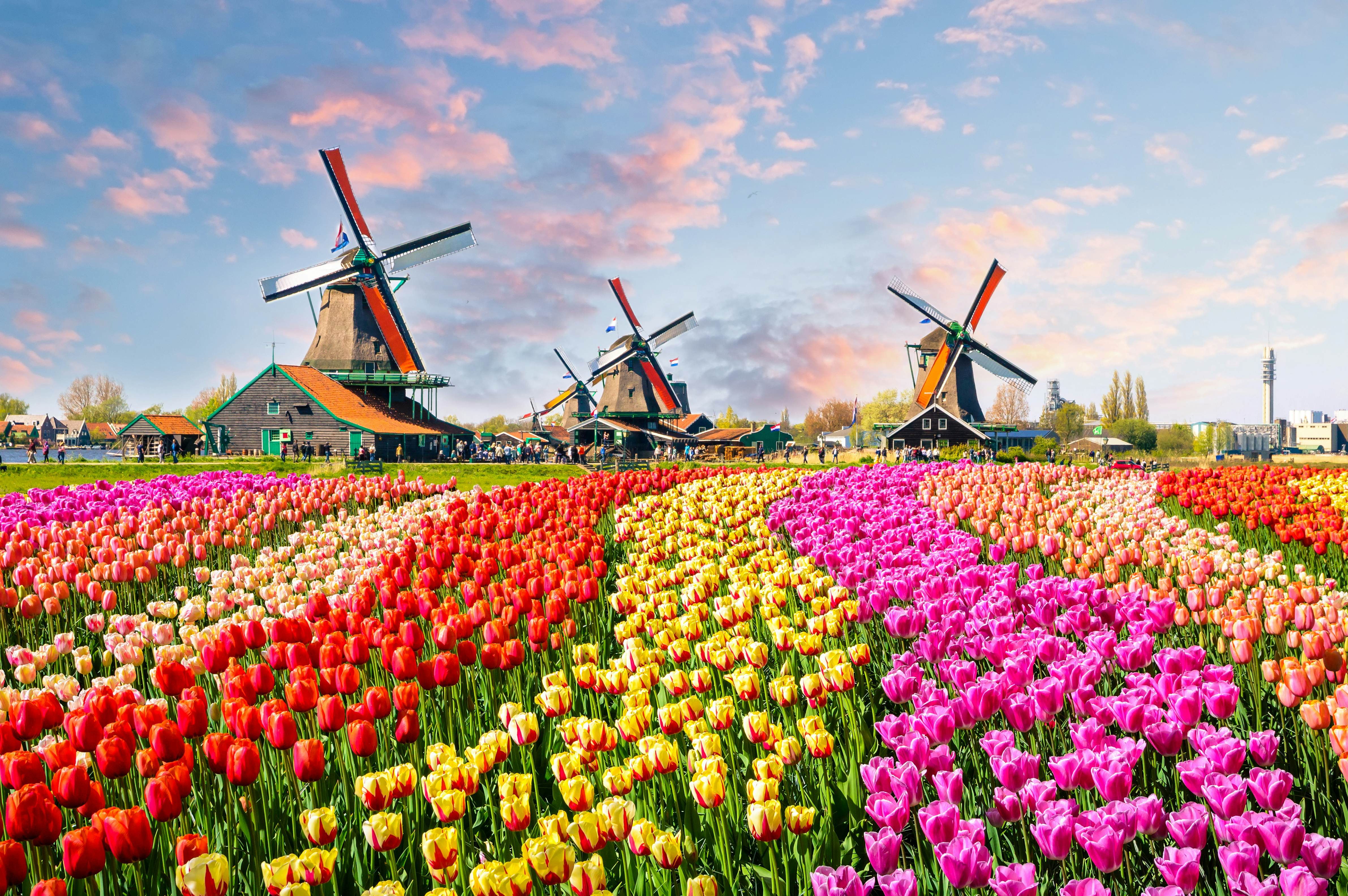 Maximize Your Leave with a 5-Day Netherlands & Belgium Trip